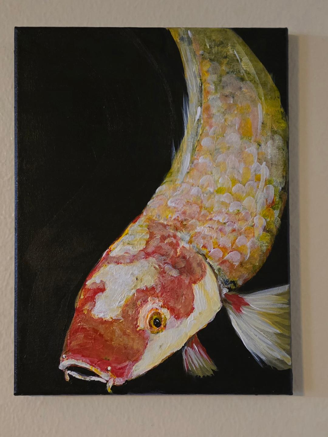 Koi gazing
